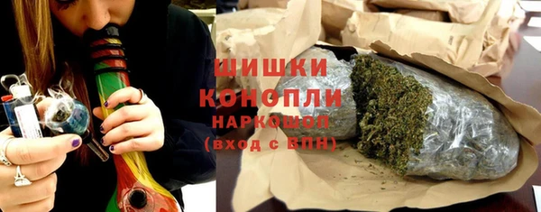 сатива Костерёво