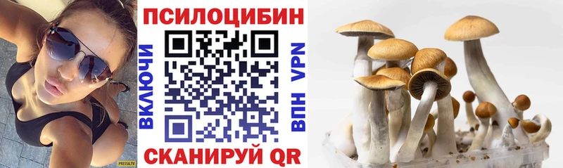 Псилоцибиновые грибы мухоморы  Старый Крым 